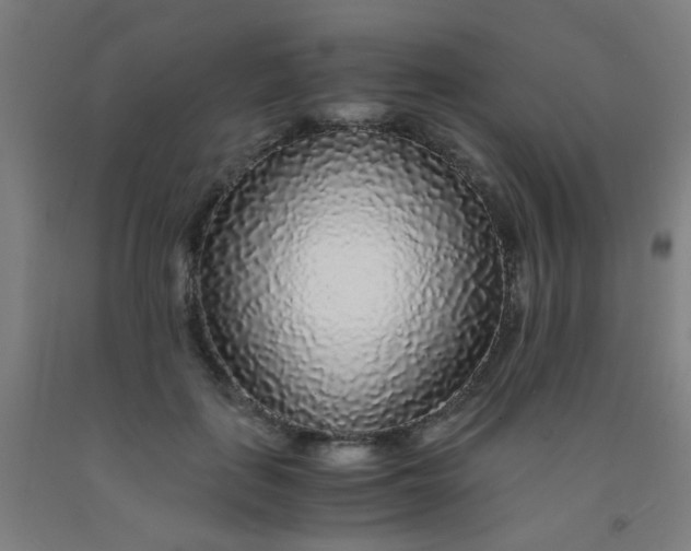 X0000092020651200709271550