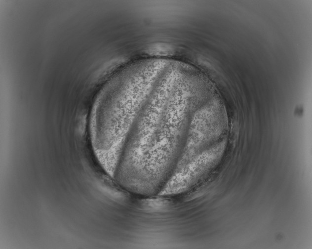 X0000092020652200709271550