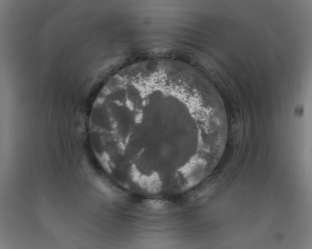 X0000092020654200709271550