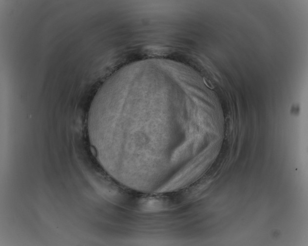 X0000092020655200709271550