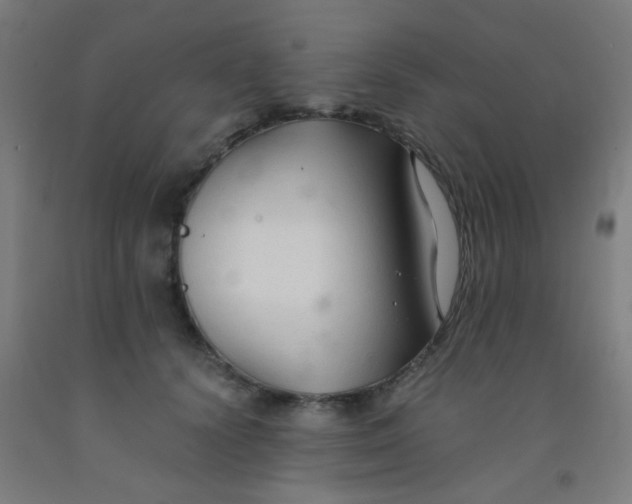 X0000092020656200709271550