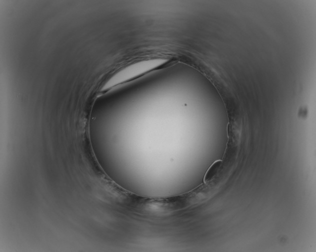 X0000092020657200709271550