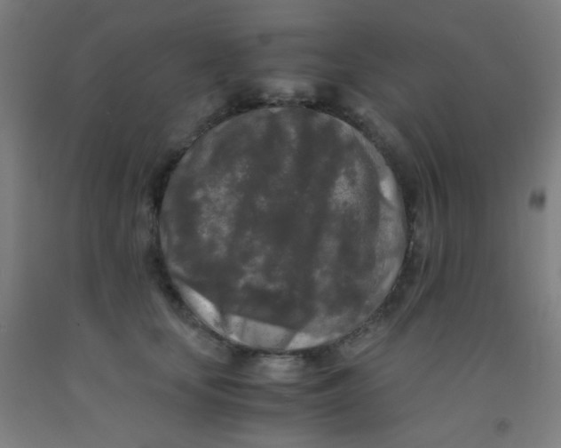 X0000092020659200709271550