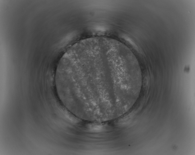 X0000092020661200709271550