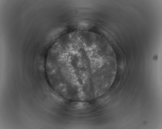 X0000092020663200709271550