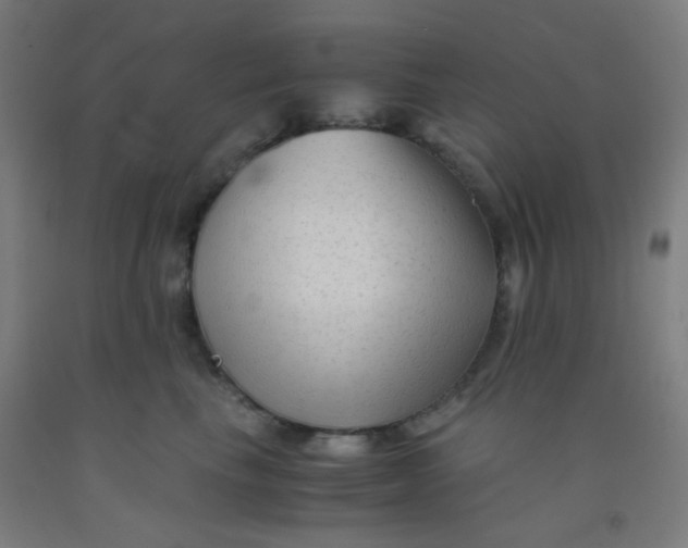 X0000092020665200709271550