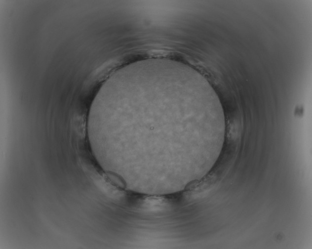 X0000092020666200709271550