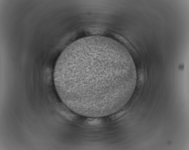 X0000092020667200709271550