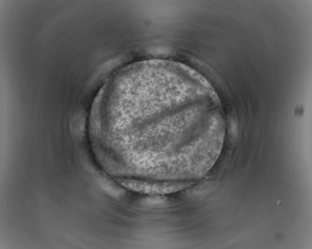 X0000092020668200709271550