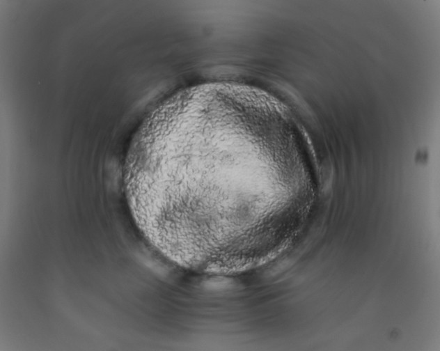 X0000092020669200709271550