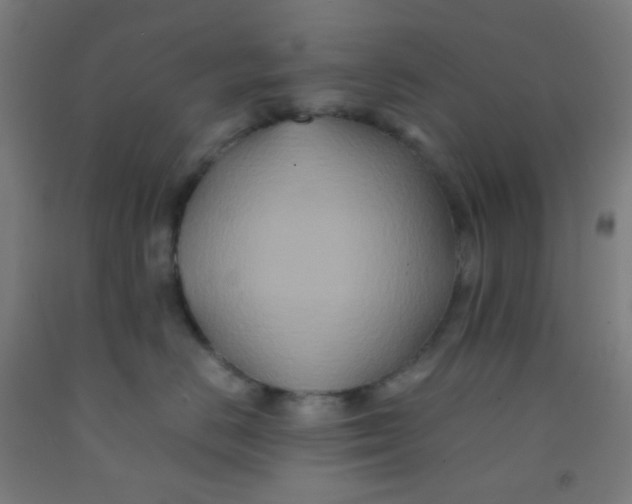 X0000092020670200709271550