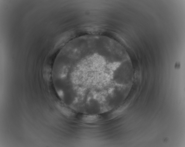 X0000092020671200709271550