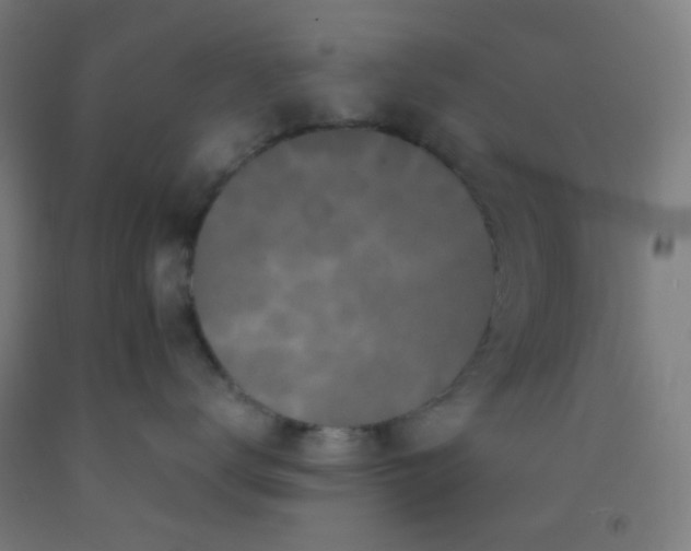 X0000092020672200709271550