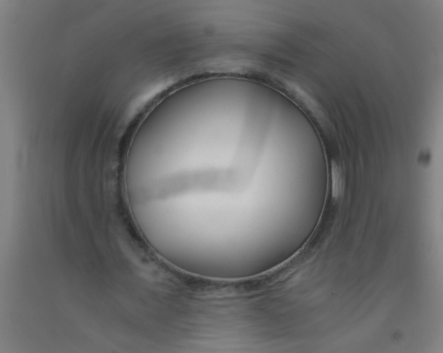 X0000092020675200709271550