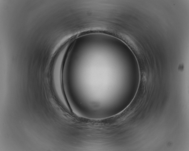 X0000092020676200709271550