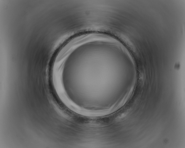 X0000092020678200709271549