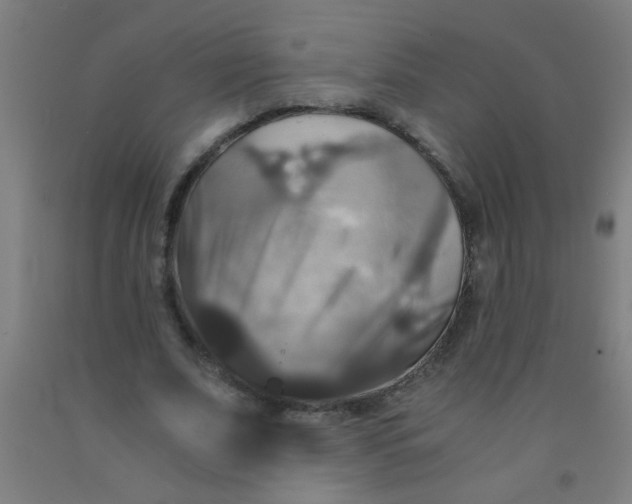 X0000092020679200709271549