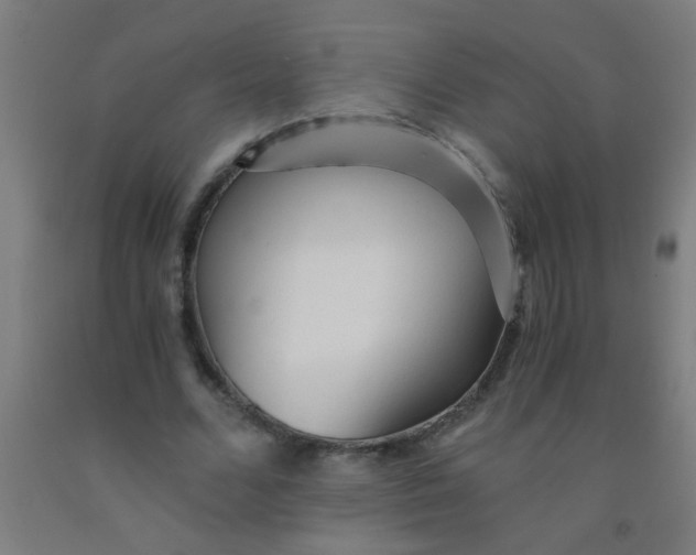 X0000092020680200709271549