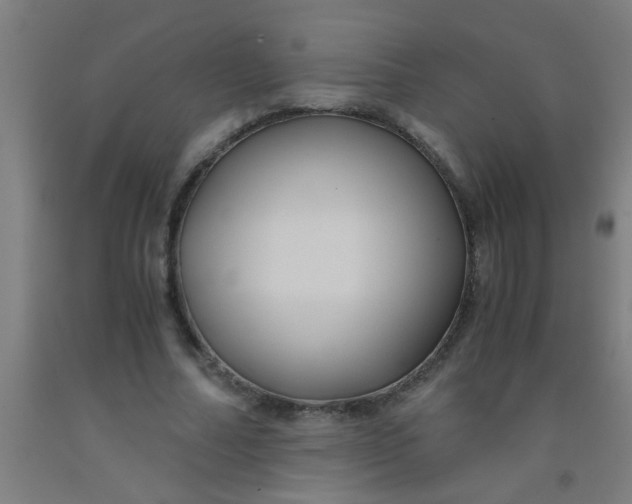 X0000092020682200709271549