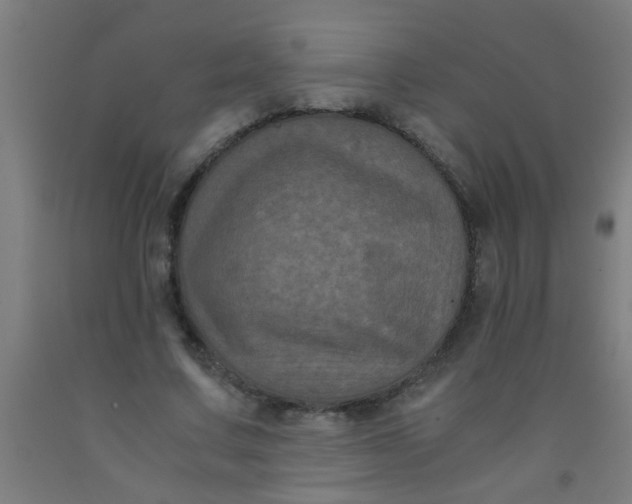 X0000092020683200709271549