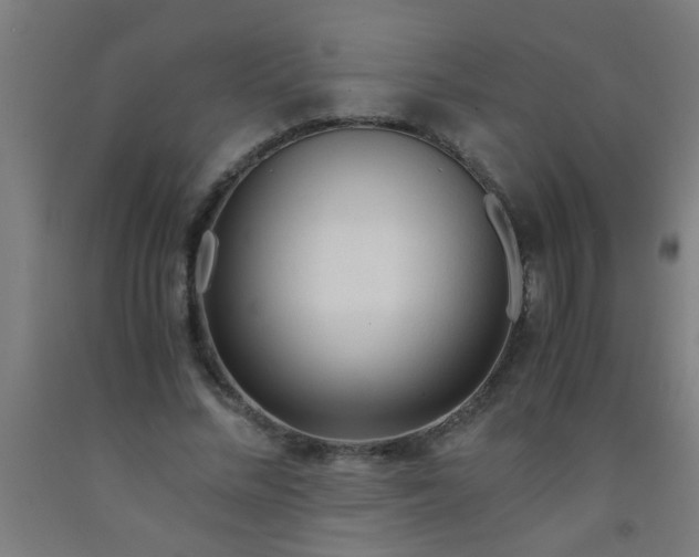 X0000092020684200709271549