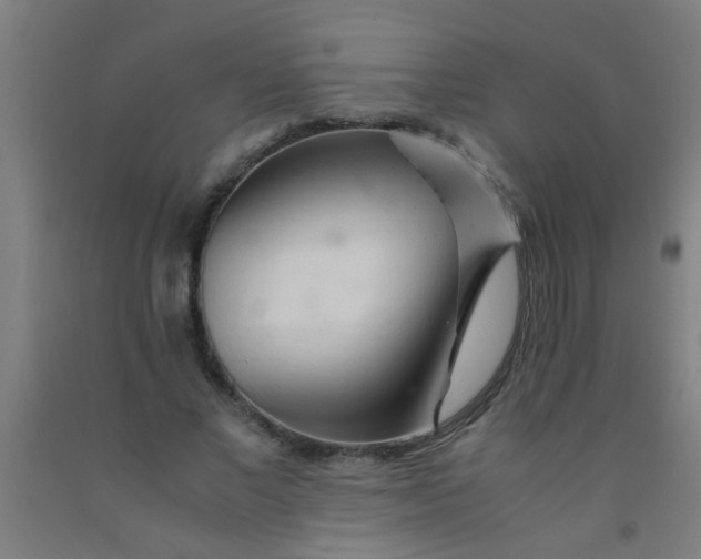 X0000092020685200709271549