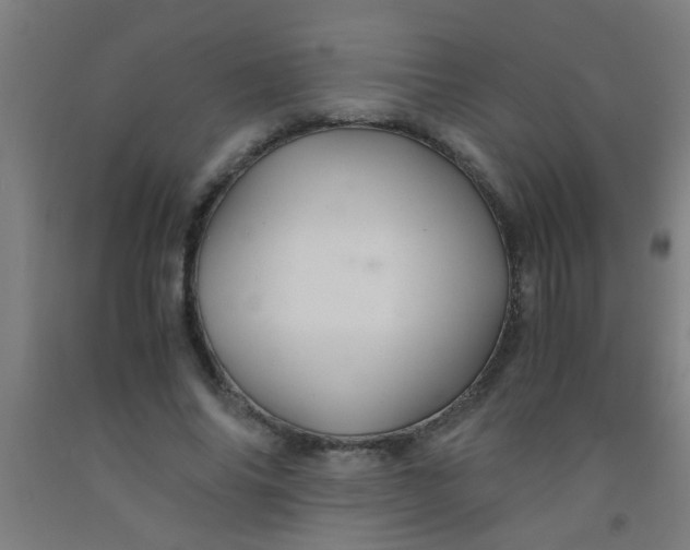 X0000092020686200709271549