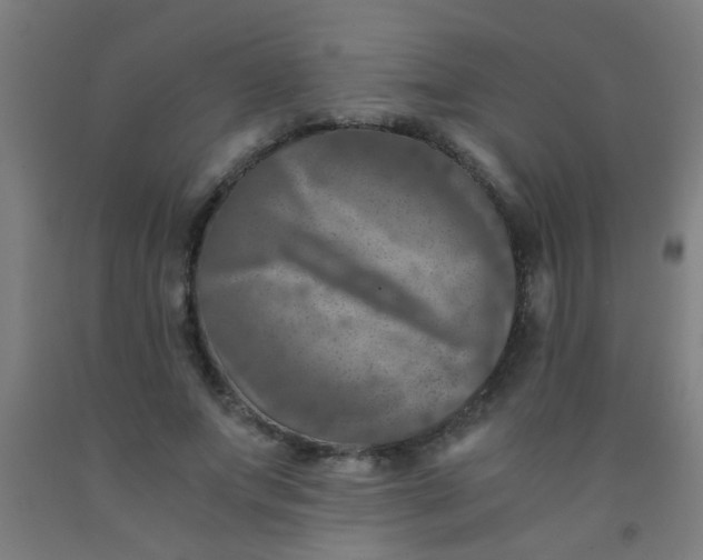 X0000092020687200709271549