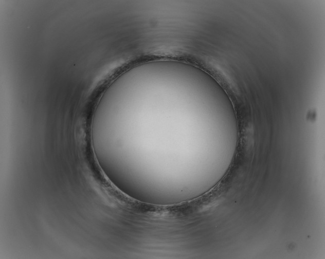 X0000092020688200709271549