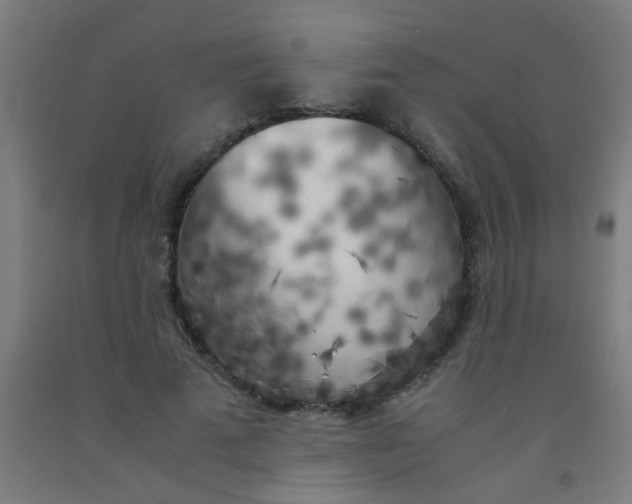 X0000092020689200709271549