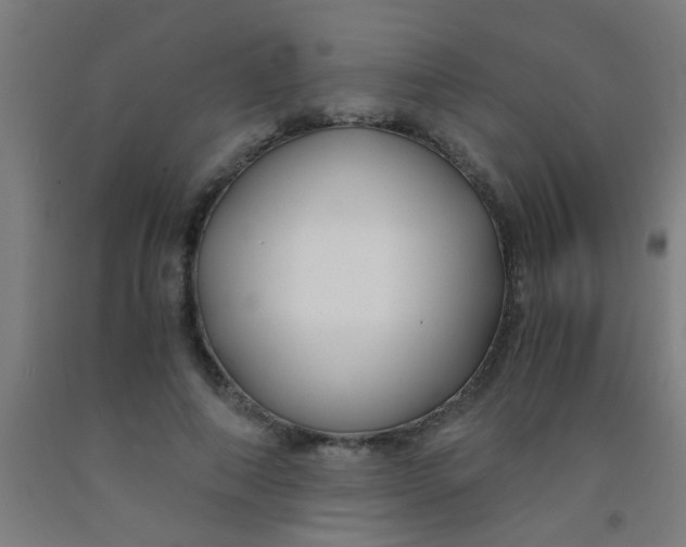 X0000092020690200709271549