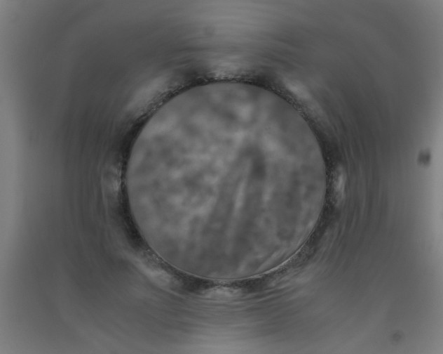 X0000092020691200709271549