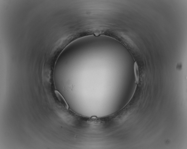 X0000092020693200709271549