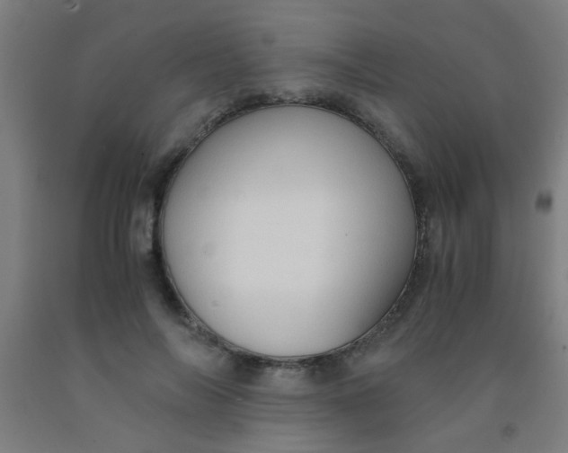 X0000092020694200709271549