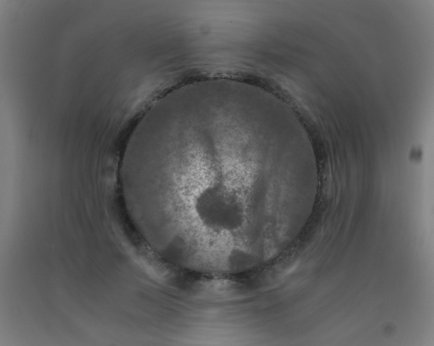 X0000092020695200709271549