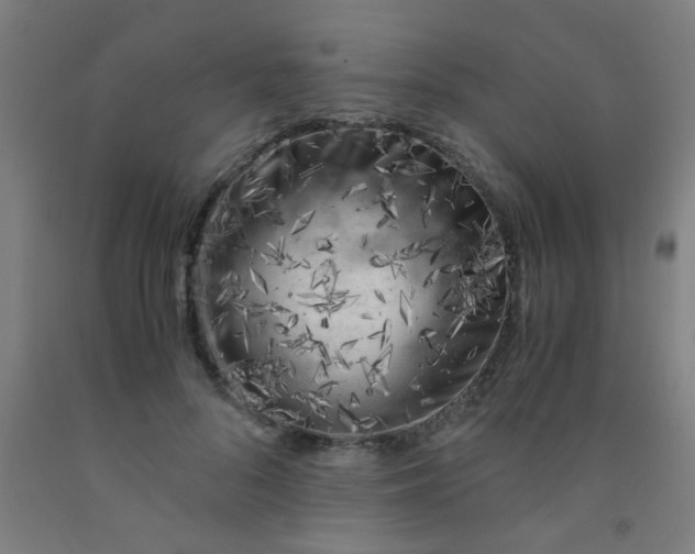 X0000092020696200709271549