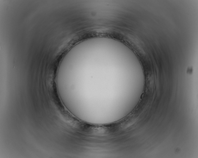 X0000092020698200709271549