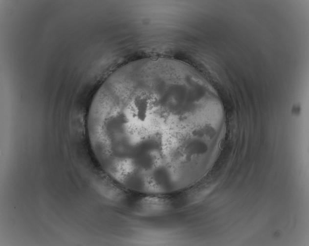 X0000092020699200709271549