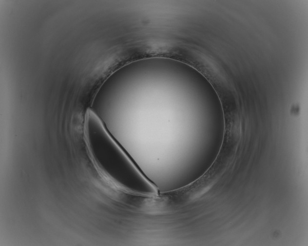 X0000092020700200709271549