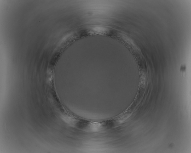 X0000092020701200709271549