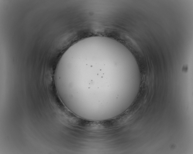 X0000092020702200709271549