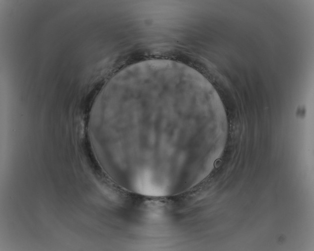 X0000092020703200709271549