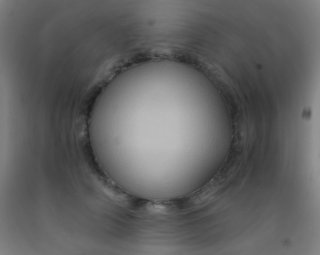 X0000092020706200709271549