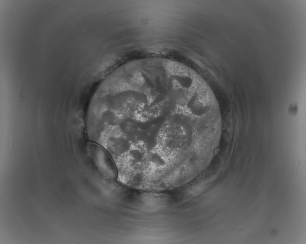 X0000092020707200709271549