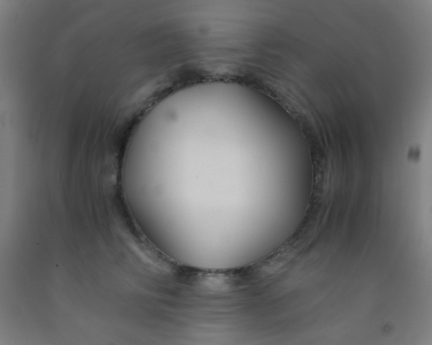 X0000092020710200709271549