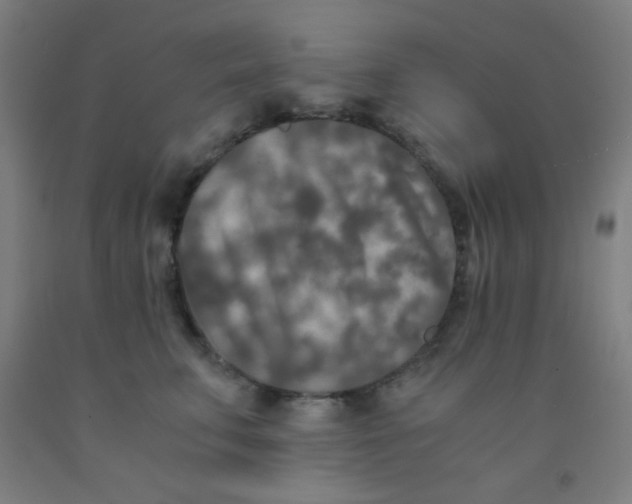 X0000092020711200709271549