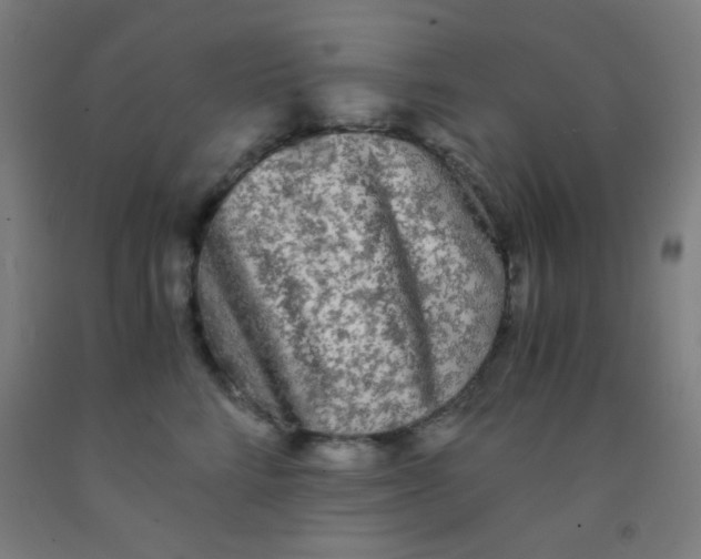 X0000092020712200709271549