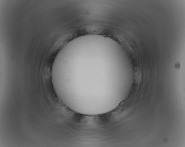 X0000092020713200709271549