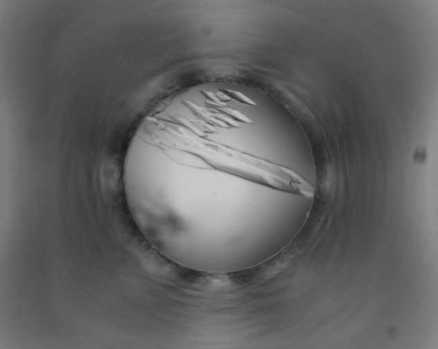 X0000092020715200709271549