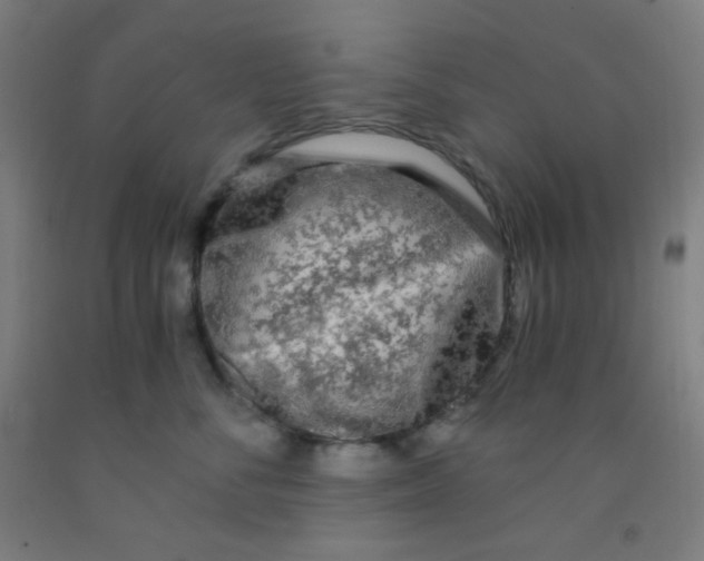 X0000092020716200709271549